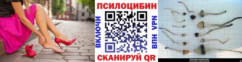 Галлюциногенные грибы Cubensis  Калтан 